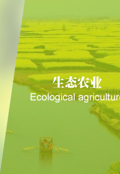 生態農業